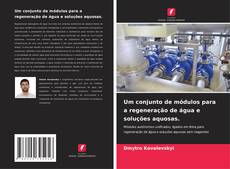 Borítókép a  Um conjunto de módulos para a regeneração de água e soluções aquosas. - hoz