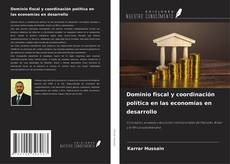 Buchcover von Dominio fiscal y coordinación política en las economías en desarrollo