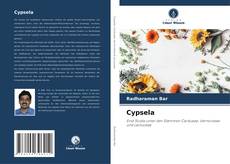 Bookcover of Cypsela