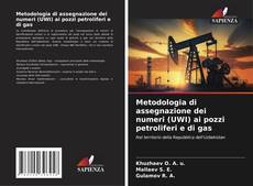 Buchcover von Metodologia di assegnazione dei numeri (UWI) ai pozzi petroliferi e di gas