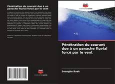 Capa do livro de Pénétration du courant due à un panache fluvial forcé par le vent 