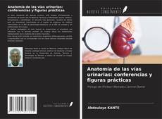 Capa do livro de Anatomía de las vías urinarias: conferencias y figuras prácticas 