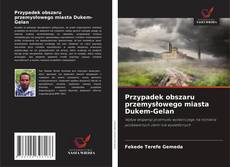 Bookcover of Przypadek obszaru przemysłowego miasta Dukem-Gelan
