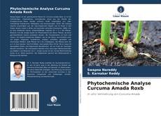 Phytochemische Analyse Curcuma Amada Roxb的封面