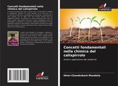 Bookcover of Concetti fondamentali nella chimica del calixpirrolo