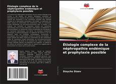 Bookcover of Étiologie complexe de la néphropathie endémique et prophylaxie possible