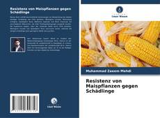 Capa do livro de Resistenz von Maispflanzen gegen Schädlinge 