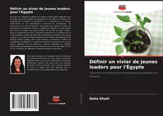 Capa do livro de Définir un vivier de jeunes leaders pour l'Égypte 