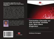 Couverture de Convection naturelle sur une enceinte ventilée avec deux blocs diagonaux