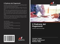 Borítókép a  Il Padrone dei Pagamenti - hoz