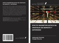 Copertina di EFECTO MAGNETOPLÁSTICO EN CRISTALES DE BISMUTO Y ANTIMONIO