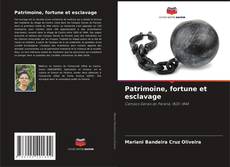 Copertina di Patrimoine, fortune et esclavage