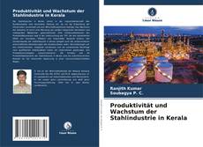 Produktivität und Wachstum der Stahlindustrie in Kerala的封面