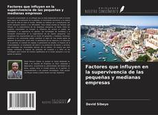 Factores que influyen en la supervivencia de las pequeñas y medianas empresas kitap kapağı