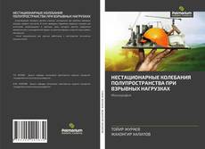 Bookcover of НЕСТАЦИОНАРНЫЕ КОЛЕБАНИЯ ПОЛУПРОСТРАНСТВА ПРИ ВЗРЫВНЫХ НАГРУЗКАХ