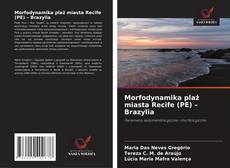 Buchcover von Morfodynamika plaż miasta Recife (PE) – Brazylia