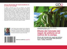 Capa do livro de Efecto del lixiviado del raquis de plátano en el cultivo de la acelga. 