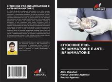 Bookcover of CITOCHINE PRO-INFIAMMATORIE E ANTI-INFIAMMATORIE