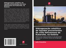 Bookcover of Hidrogenação catalítica de líquidos provenientes do xisto betuminoso de Kukersite, na Estónia