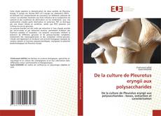 Portada del libro de De la culture de Pleurotus eryngii aux polysaccharides
