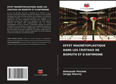 Copertina di EFFET MAGNÉTOPLASTIQUE DANS LES CRISTAUX DE BISMUTH ET D'ANTIMOINE