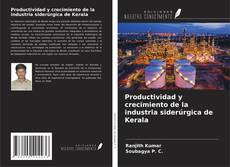 Buchcover von Productividad y crecimiento de la industria siderúrgica de Kerala