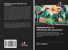 Copertina di Moltiplicatori di efficienza del processo: