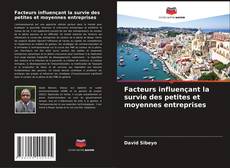 Copertina di Facteurs influençant la survie des petites et moyennes entreprises
