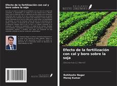 Copertina di Efecto de la fertilización con cal y boro sobre la soja