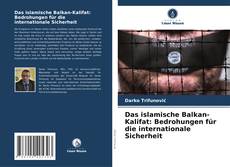Das islamische Balkan-Kalifat: Bedrohungen für die internationale Sicherheit的封面