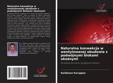 Buchcover von Naturalna konwekcja w wentylowanej obudowie z podwójnymi blokami ukośnymi