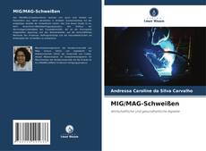 MIG/MAG-Schweißen的封面