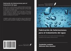 Обложка Fabricación de heterouniones para el tratamiento del agua