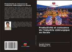 Copertina di Productivité et croissance de l'industrie sidérurgique au Kerala