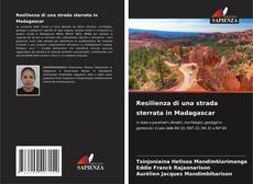 Bookcover of Resilienza di una strada sterrata in Madagascar