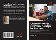 Bookcover of Postrzegane czynniki stresogenne w miejscu pracy, stres i strategie radzenia sobie