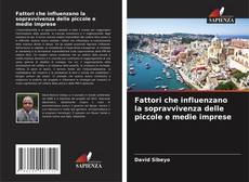 Bookcover of Fattori che influenzano la sopravvivenza delle piccole e medie imprese