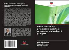 Borítókép a  Lutte contre les principaux insectes ravageurs du haricot à grappes - hoz