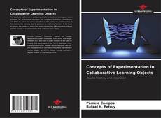 Buchcover von Concepts of Experimentation in Collaborative Learning Objects