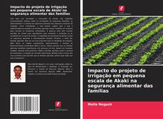 Impacto do projeto de irrigação em pequena escala de Akaki na segurança alimentar das famílias的封面