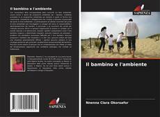 Bookcover of Il bambino e l'ambiente