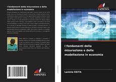 I fondamenti della misurazione e della modellazione in economia kitap kapağı