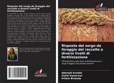 Bookcover of Risposta del sorgo da foraggio del raccolto a diversi livelli di fertilizzazione