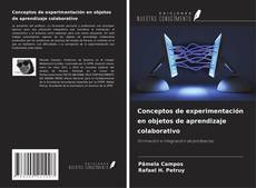 Conceptos de experimentación en objetos de aprendizaje colaborativo的封面