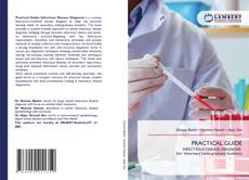 Обложка PRACTICAL GUIDE