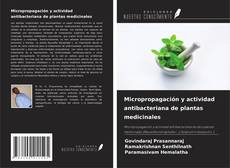 Couverture de Micropropagación y actividad antibacteriana de plantas medicinales