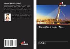 Bookcover of Espansione mascellare