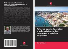 Fatores que influenciam a sobrevivência das pequenas e médias empresas的封面