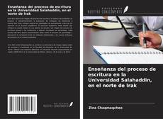 Enseñanza del proceso de escritura en la Universidad Salahaddin, en el norte de Irak的封面