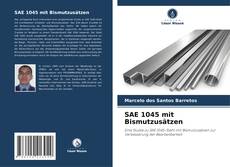 SAE 1045 mit Bismutzusätzen的封面